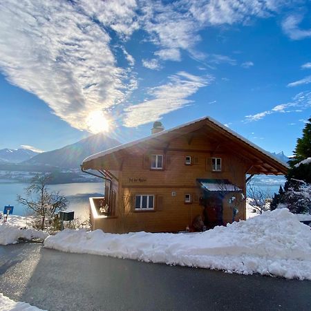 Chalet Egglen "Typical Swiss House, Best Views, Private Jacuzzi" ซิกริซวิล ภายนอก รูปภาพ