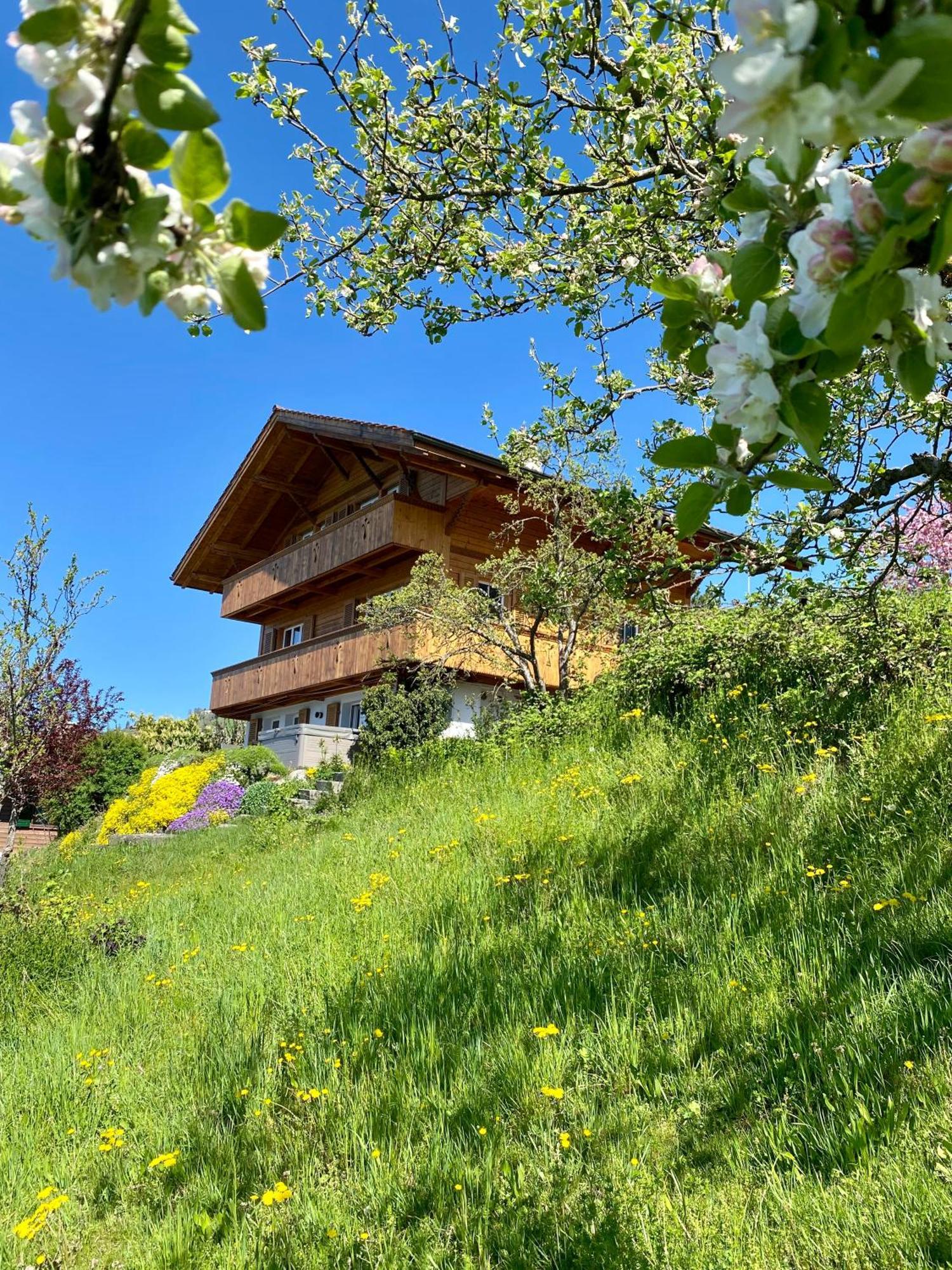 Chalet Egglen "Typical Swiss House, Best Views, Private Jacuzzi" ซิกริซวิล ภายนอก รูปภาพ