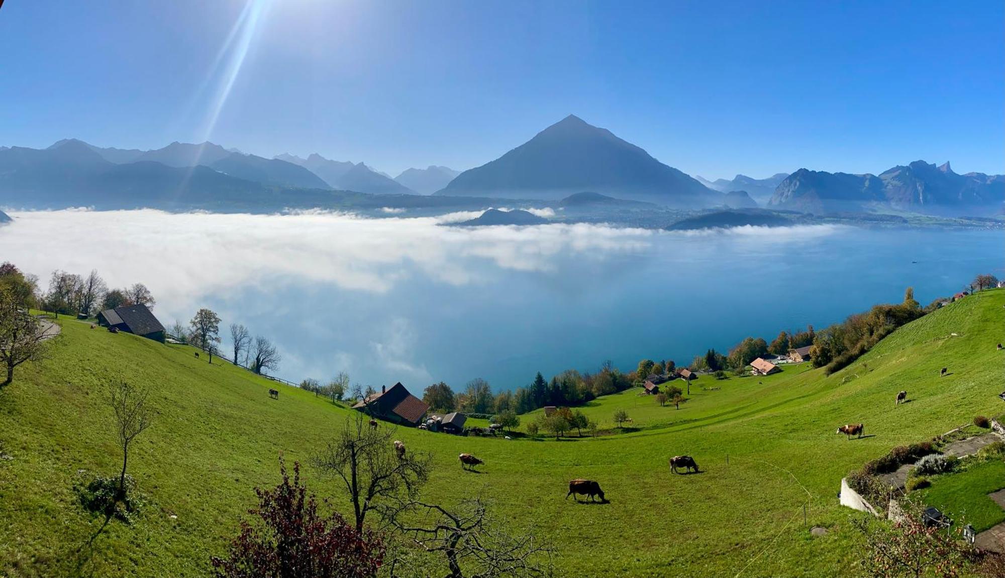 Chalet Egglen "Typical Swiss House, Best Views, Private Jacuzzi" ซิกริซวิล ภายนอก รูปภาพ