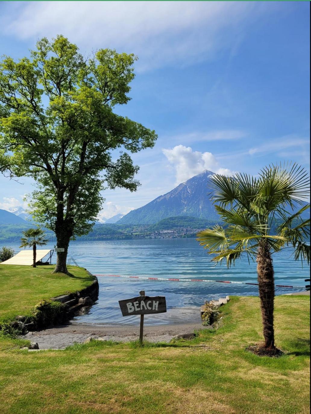Chalet Egglen "Typical Swiss House, Best Views, Private Jacuzzi" ซิกริซวิล ภายนอก รูปภาพ