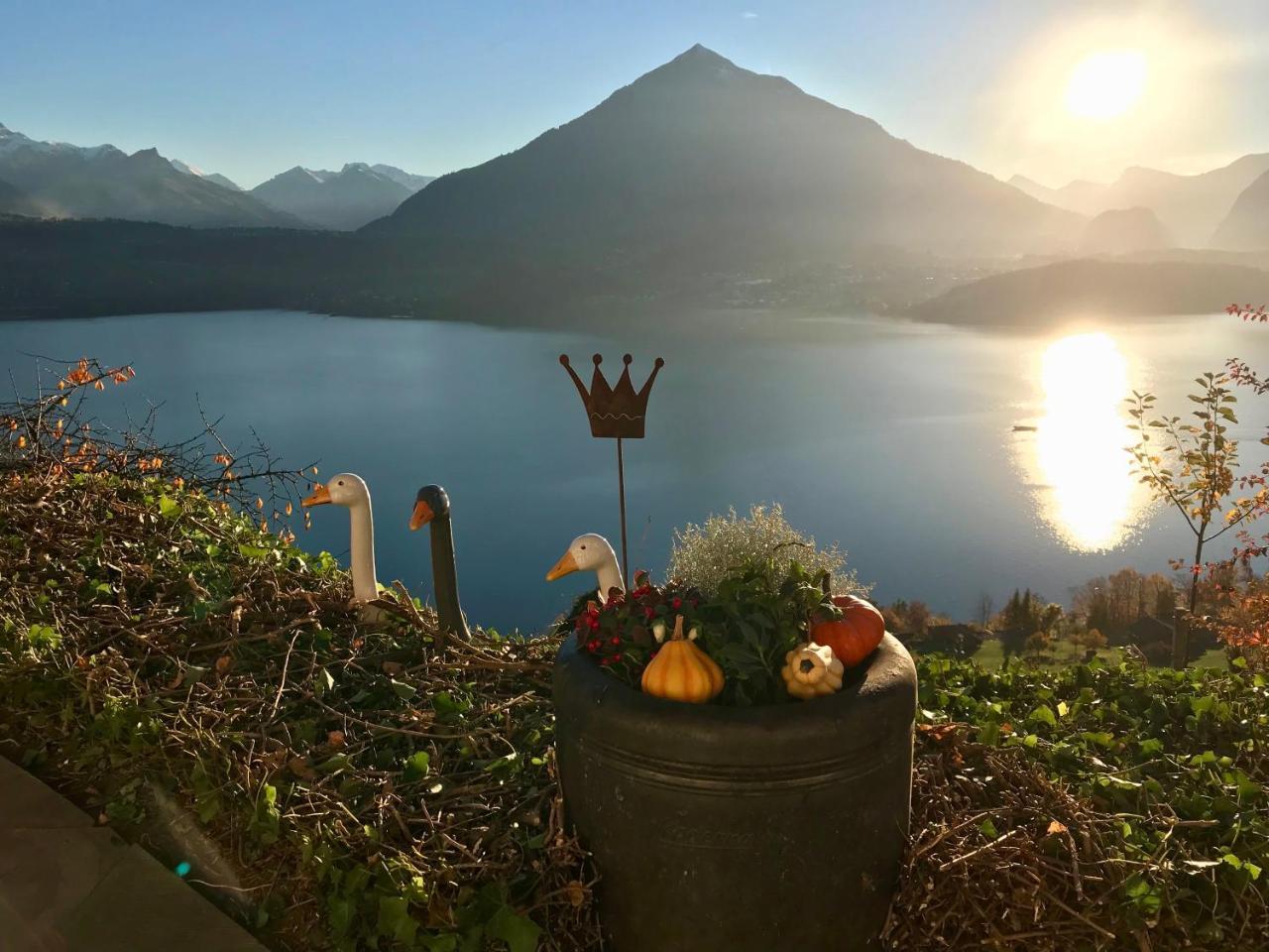 Chalet Egglen "Typical Swiss House, Best Views, Private Jacuzzi" ซิกริซวิล ภายนอก รูปภาพ