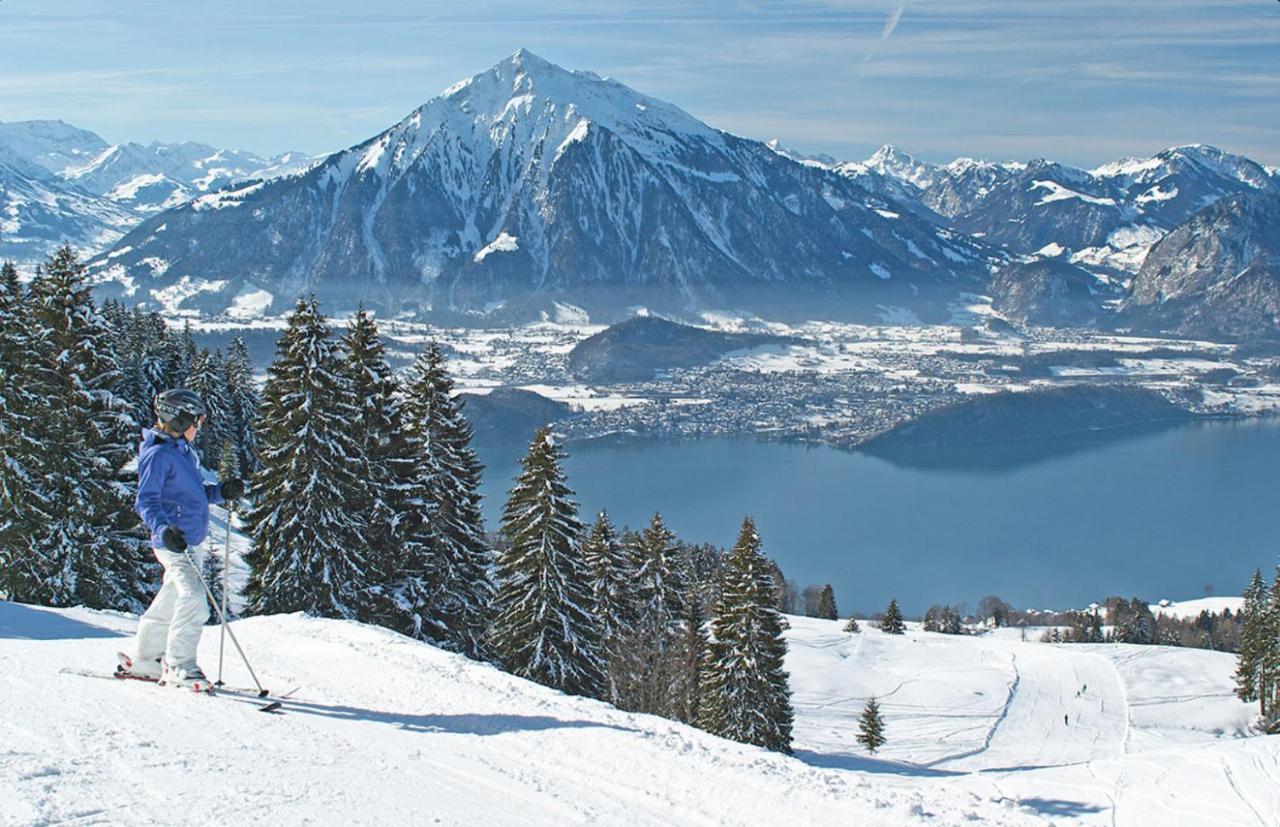 Chalet Egglen "Typical Swiss House, Best Views, Private Jacuzzi" ซิกริซวิล ภายนอก รูปภาพ