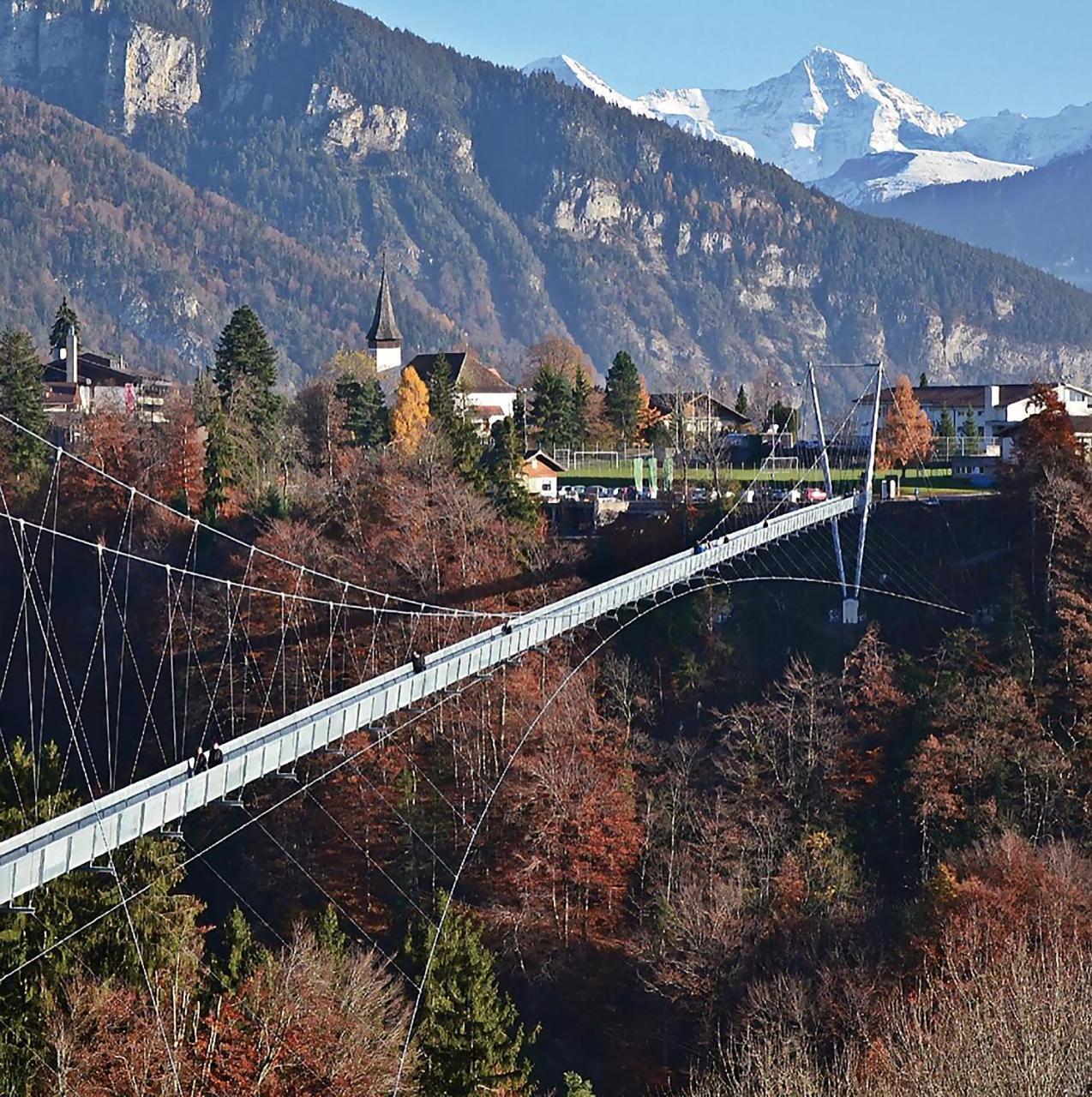 Chalet Egglen "Typical Swiss House, Best Views, Private Jacuzzi" ซิกริซวิล ภายนอก รูปภาพ