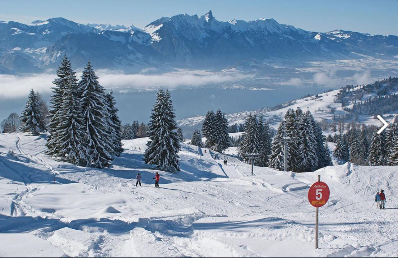 Chalet Egglen "Typical Swiss House, Best Views, Private Jacuzzi" ซิกริซวิล ภายนอก รูปภาพ