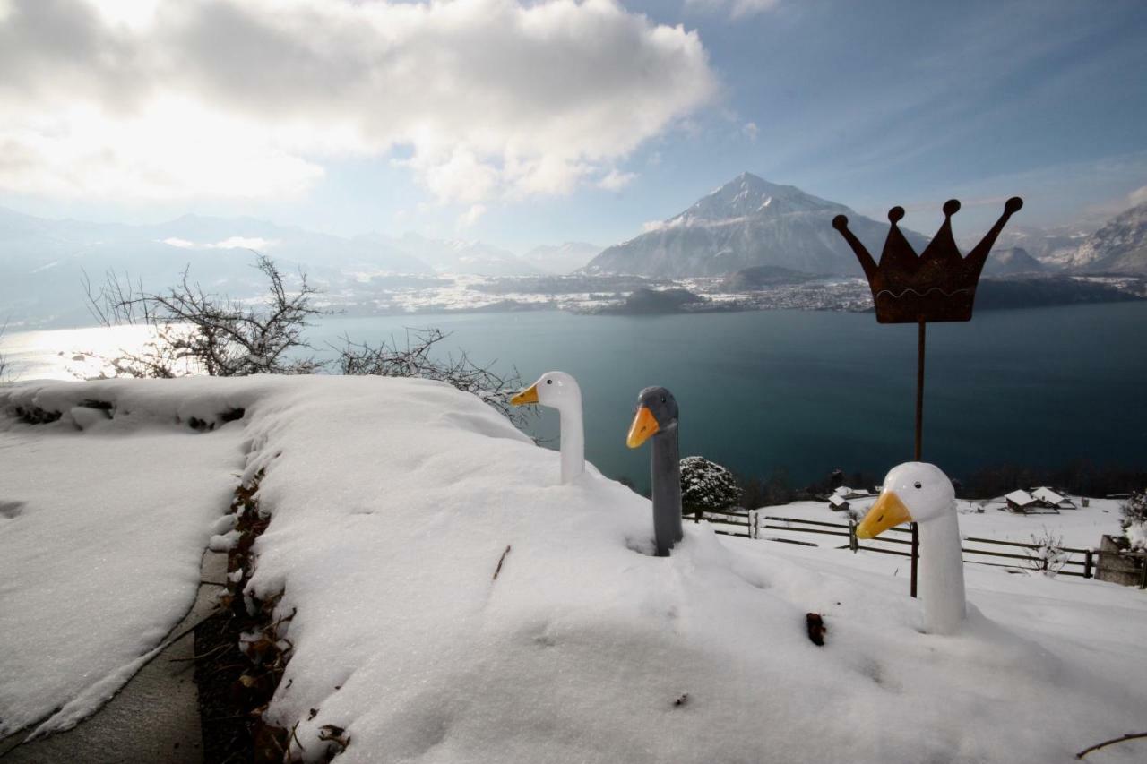 Chalet Egglen "Typical Swiss House, Best Views, Private Jacuzzi" ซิกริซวิล ภายนอก รูปภาพ