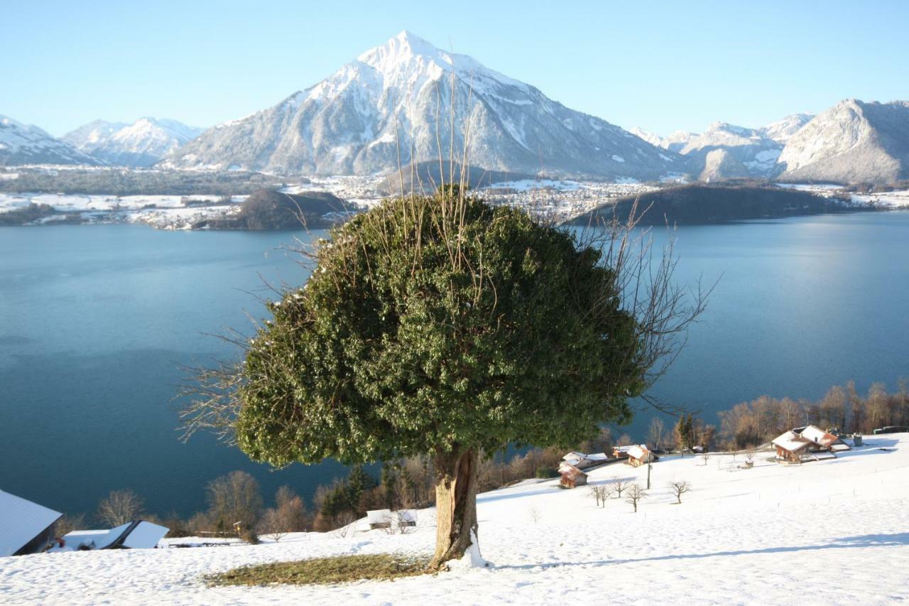 Chalet Egglen "Typical Swiss House, Best Views, Private Jacuzzi" ซิกริซวิล ภายนอก รูปภาพ