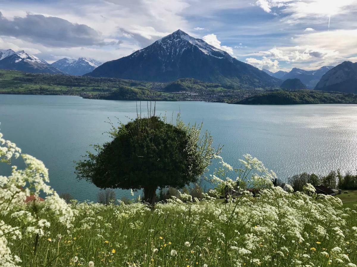 Chalet Egglen "Typical Swiss House, Best Views, Private Jacuzzi" ซิกริซวิล ภายนอก รูปภาพ